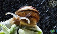 霸气高冷的句子