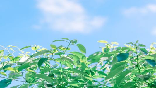 编辑编辑了一些关于家庭的哲学性句子