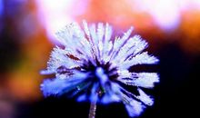 自己越来越胆小的说说