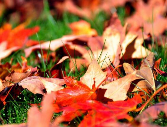 我从不喜欢自己一个人