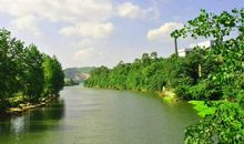 每日分享正能量的句子