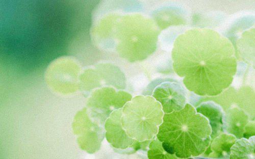 什么是哲学句子