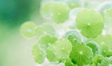 亲情有哲理的句子