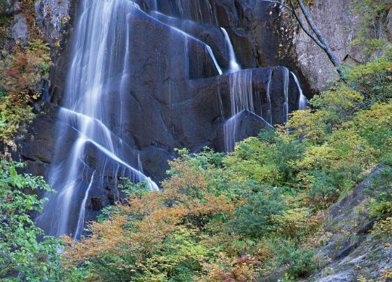 如果您真正地爱一个人