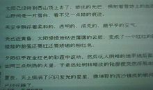 摘抄描写夏天晚上的句子