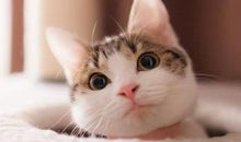 其实真开心的句子