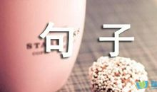 描写人物的句子摘抄