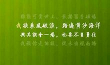 你的泪让我心碎的句子