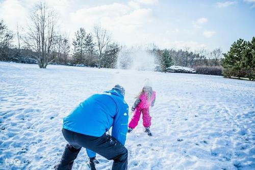 编辑编了一些赞美快乐雪的句子