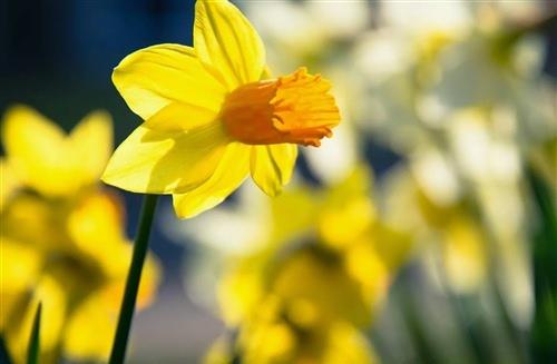 流行病只是过去了