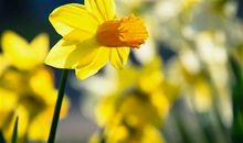 2020疫情朋友圈说说 2020疫情感慨人生说说