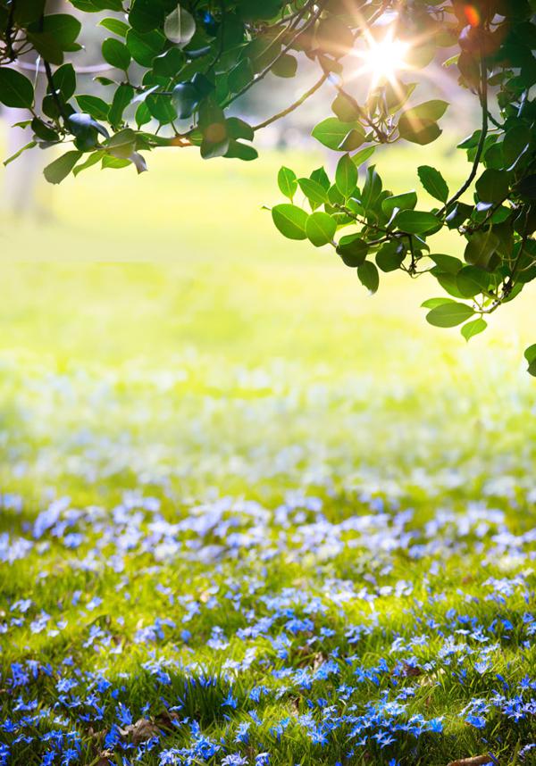 傍晚的光芒反射着天空