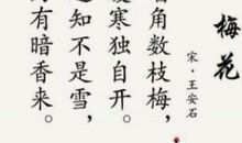 描写梅花的古诗