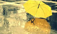 一年级优美句段摘抄大全20字左右