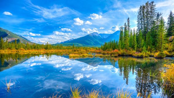 这是一场夏日舞