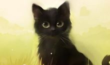 失眠发一条幽默的说说 睡不着的搞笑说说