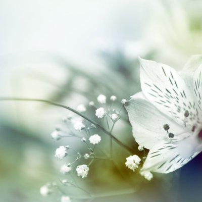 最残酷的事情是踩在这些碎片上