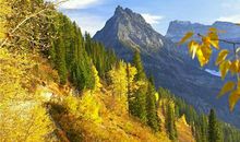 最新有关回忆的唯美句子