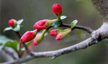 真挚友情经典句子