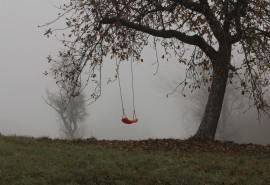 请欣赏一些编辑编写的描述亲人之间的感情的句子