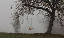 形容亲人之间亲情的句子