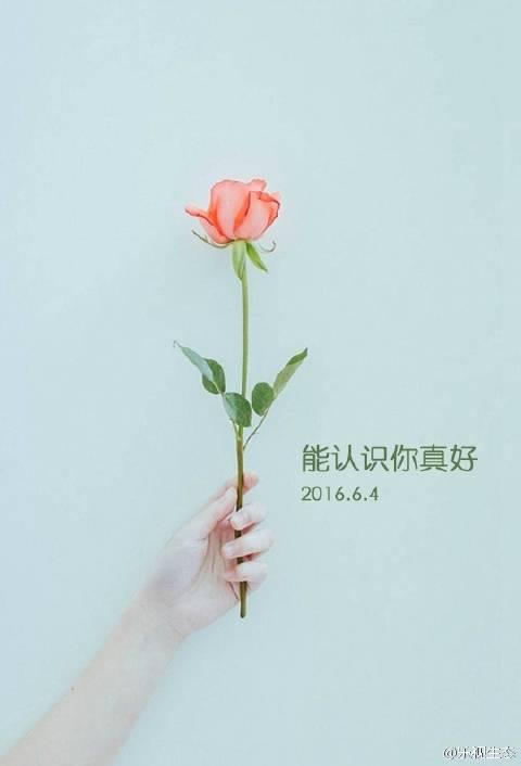 编辑整理了一下知道你开心一些句子