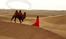 描写沙漠的古诗句