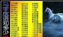 关于马的成语大全