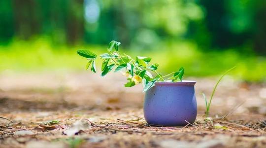 我曾经挥霍过我所有的爱