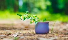 对婚姻对老公失望的句子说说心情短语