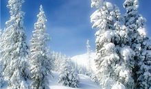 中学生关于描写友情的句子