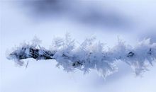 写温暖亲情的优美句子