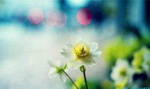 描写蓝宝石的优美句子