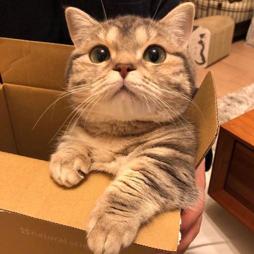 希望每个人都喜欢  1