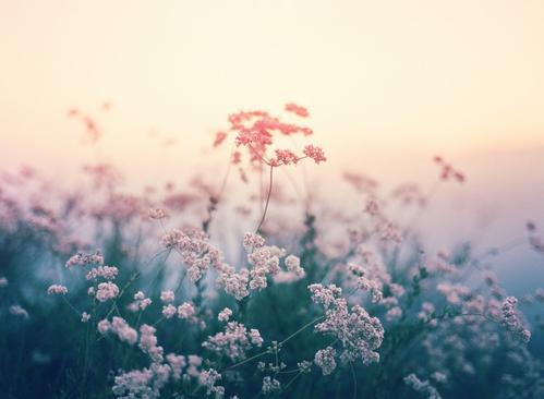 使女孩过上幸福生活的句子是什么