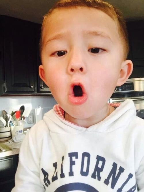 编辑整理了一些句子