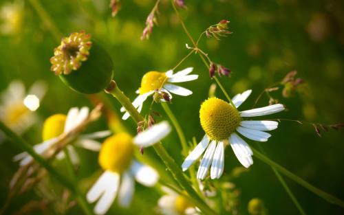 编辑编写了一些关于家庭感觉的句子