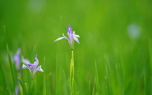 让我们来看看编辑写的关于写家庭陪伴的漂亮句子