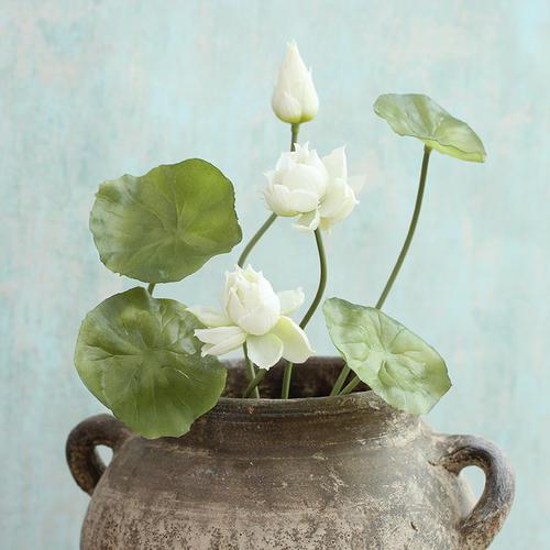 这些句子从不难过