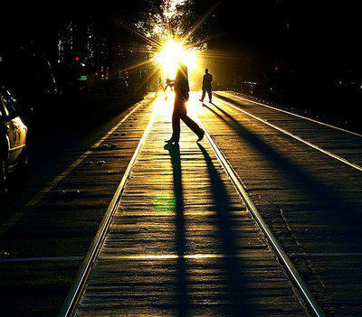 不仅是阳光普照