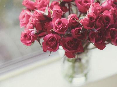 女人不像香烟那样生活