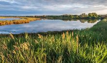 励志正能量的句子大全