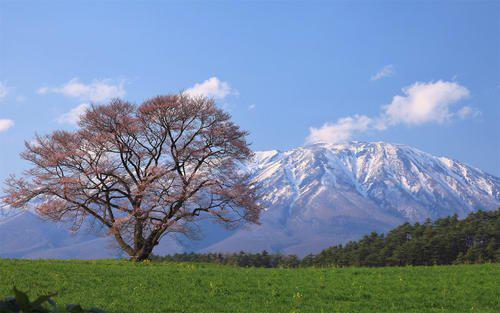 请享受快乐的句子