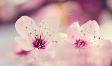 形容亲情的感人句子说说心情