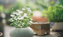 形容珍惜亲情的句子说说心情短语