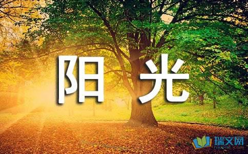 冬季阳光的审美句子 冬季阳光很棒