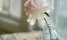 希望一个人天天开心的文艺句子