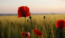 对人生感悟的句子