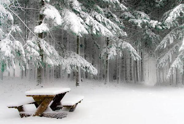   人生感悟词 三岁见老