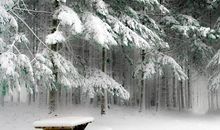 人生感悟的句子和词语